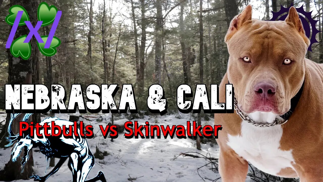 Nebraska and Cali: Pitbulls vs Skinwalker | 4chan /x/ Paranormal Greentext Stories Thread