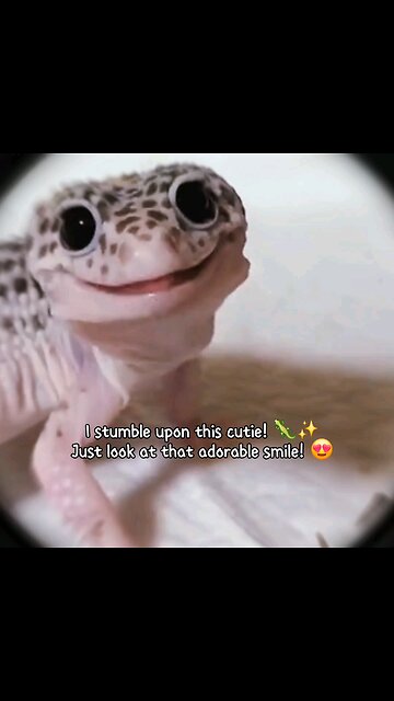 I stumble upon this cutie! 🦎✨ Just look at that adorable smile! 😍