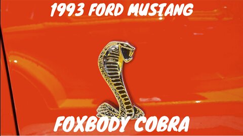 1993 SVT Ford Mustang Cobra