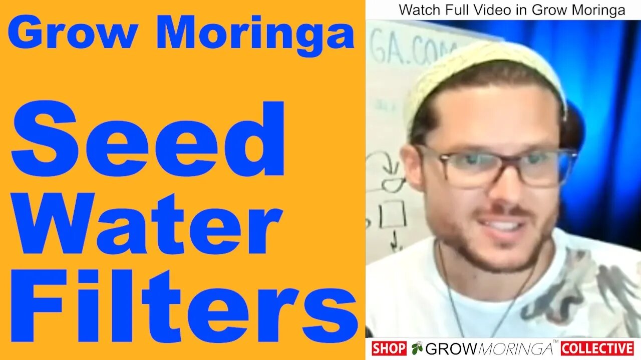 Moringa Seeds Filter Water | Removing Heavy Metals and Toxins | Crushed Moringa Seed Cake Uses