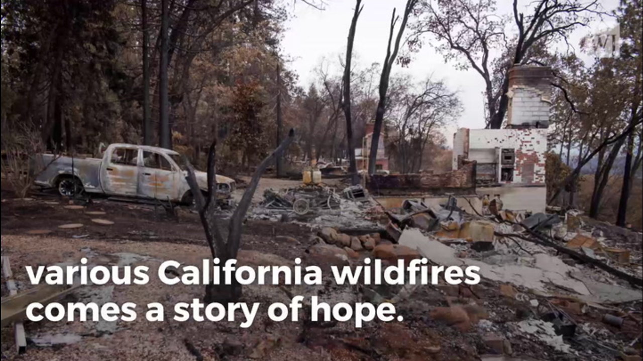 Photos Show Where Calif. Wildfire Charred Entire Town But Left This 1 Cross Untouched