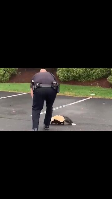 Police officer frees skunk with container stuck on its head