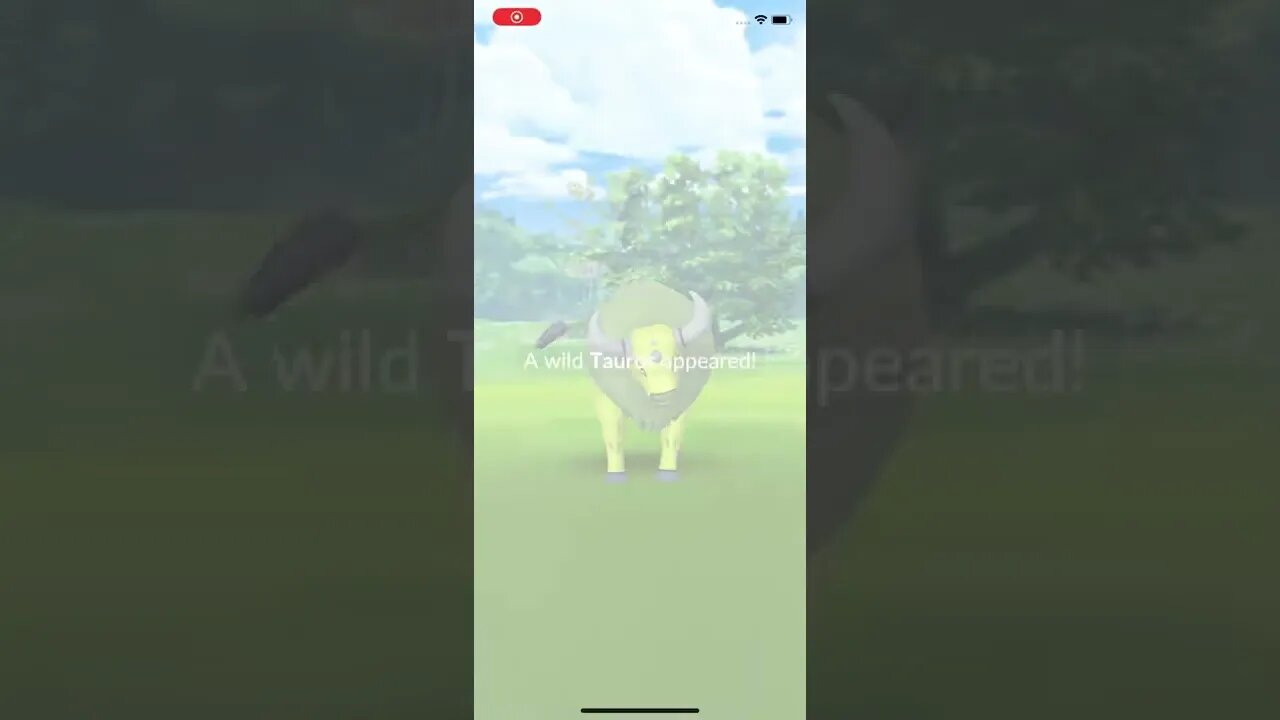 Shiny Tauros