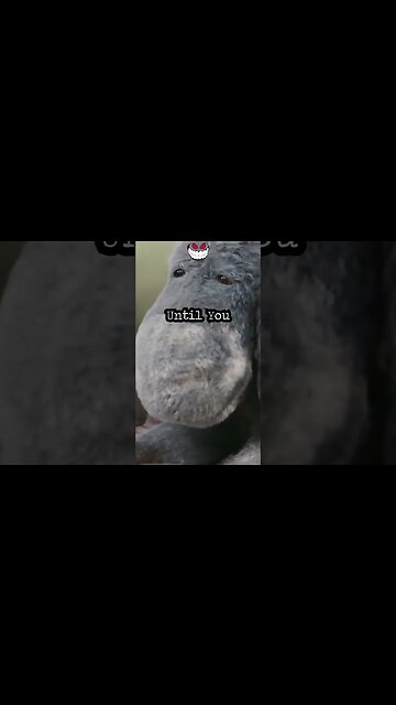 You Never Fail Until You Stop Trying -#alberteinstein #quotes #eeyore #cartoon