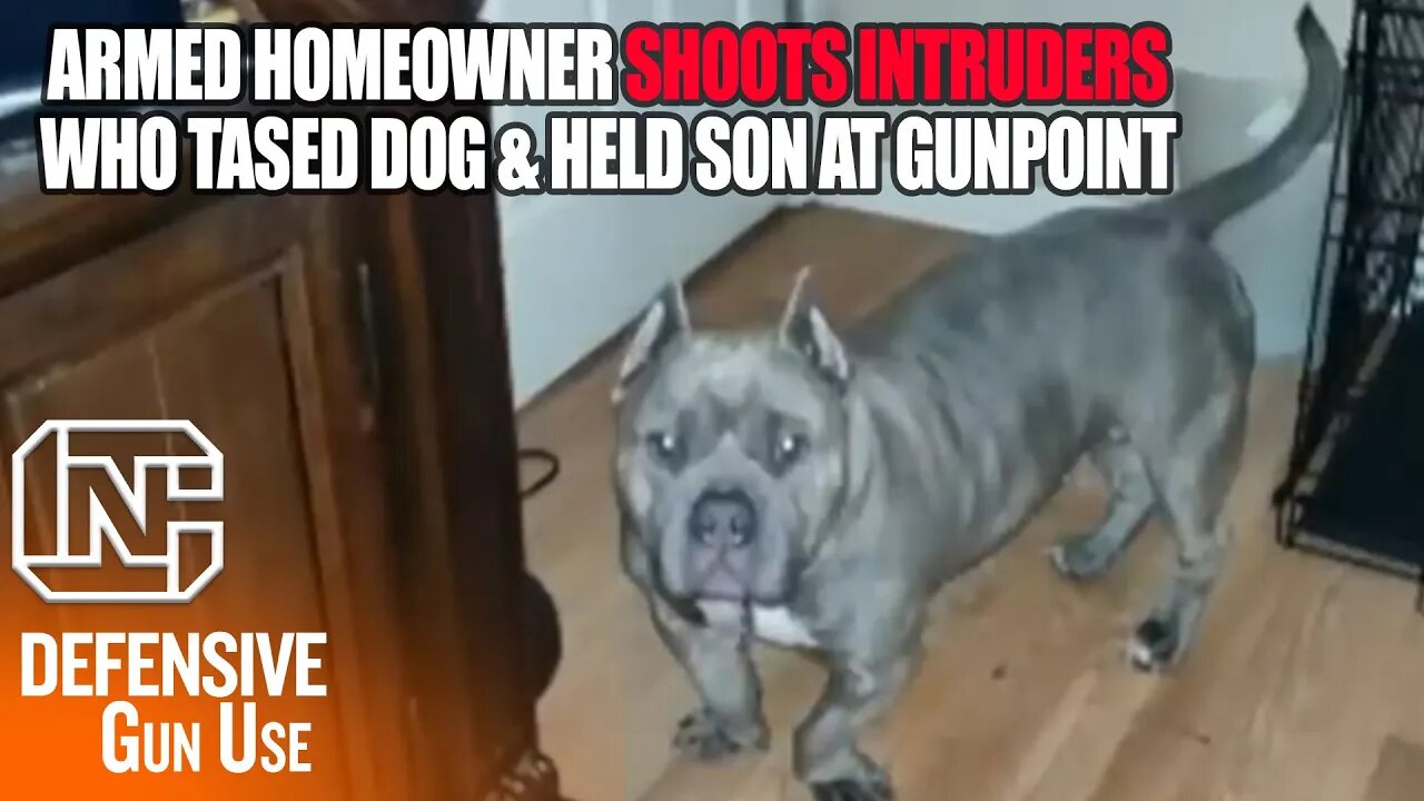 Armed Homeowner Shoots Intruders Who Tased Dog & Held Son At Gun Point In Tennessee