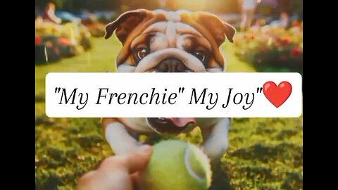 My Frenchie, My Joy" a beautiful song