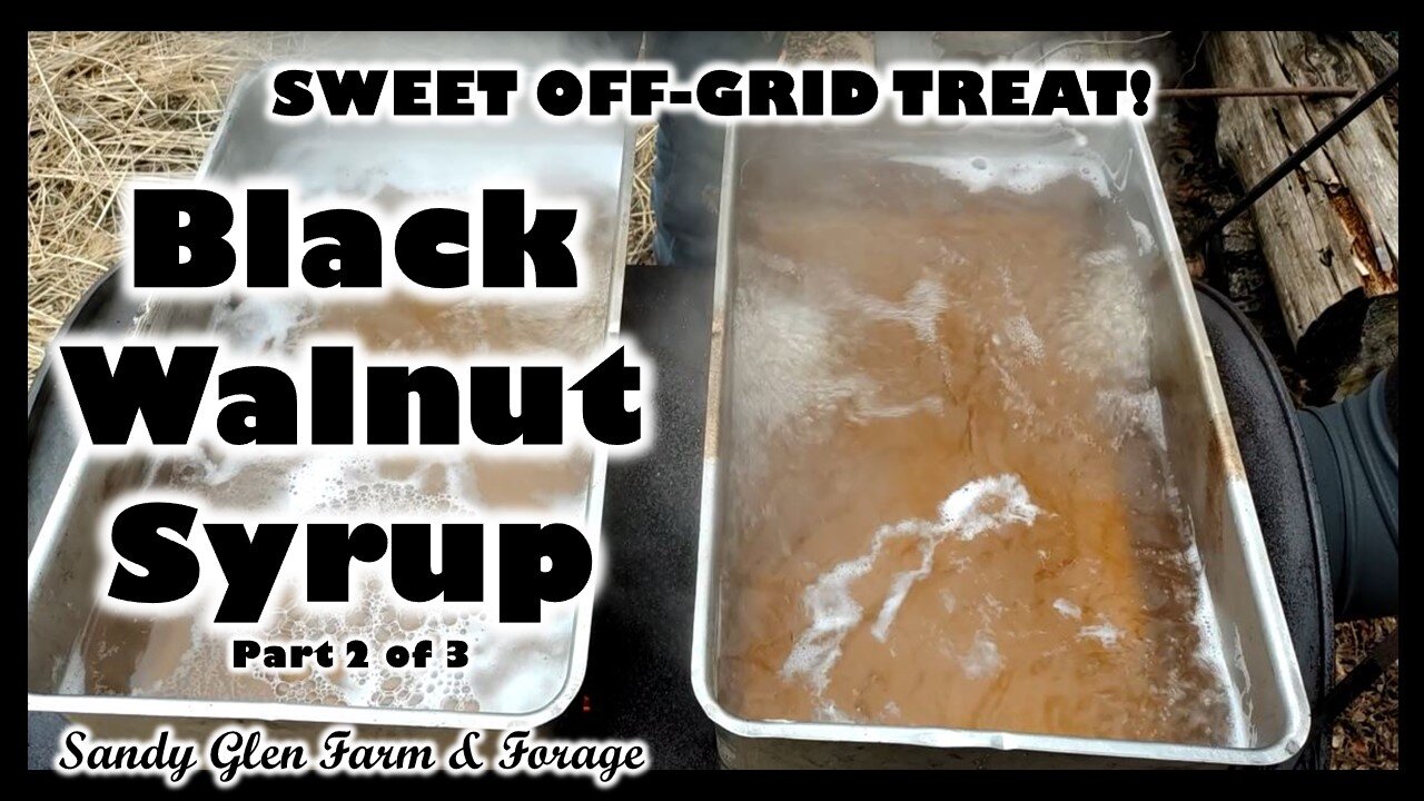 Sweet Off-Grid Treat: Black Walnut Syrup (part 2 of 3)