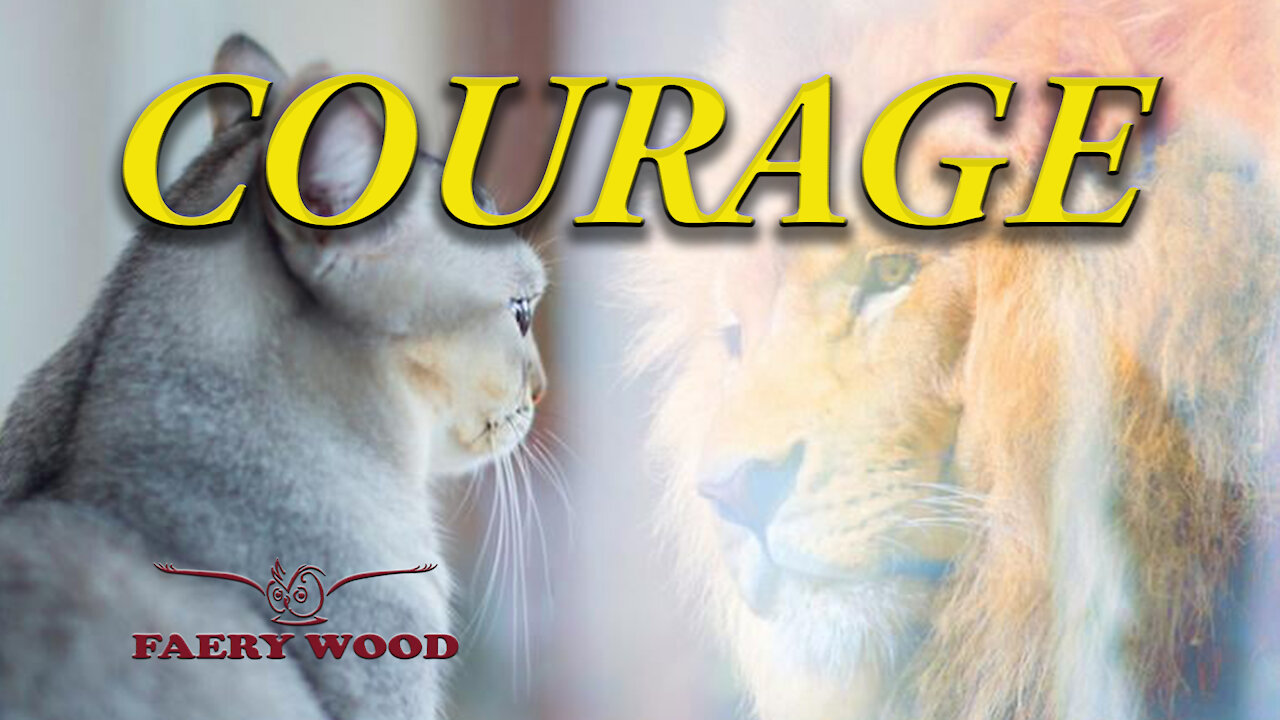 HAVE COURAGE