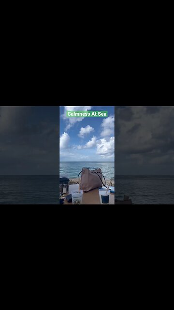 Calmness In Cozumel #shorts