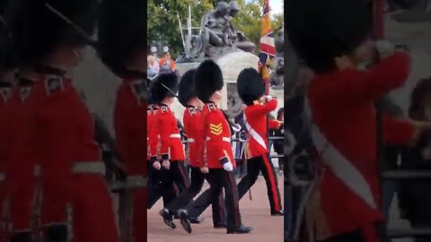 Kings guard and musical support leaving Buckingham Palace #buckinghampalace