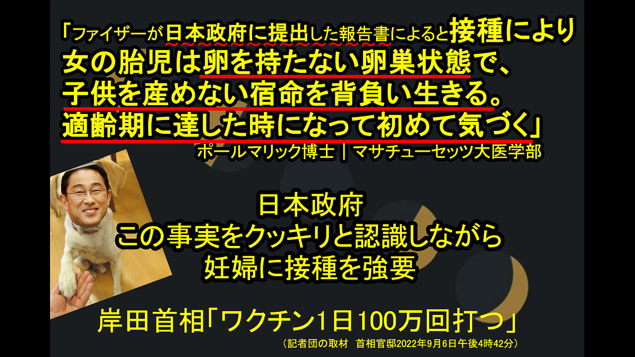 狙われる『卵巣』(3)