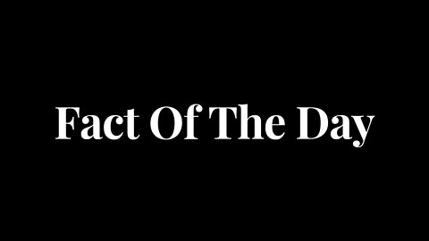 Another Random Fact [02]
