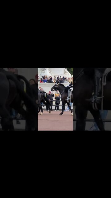 Blues and royals eyes left Buckingham Palace #buckinghampalace