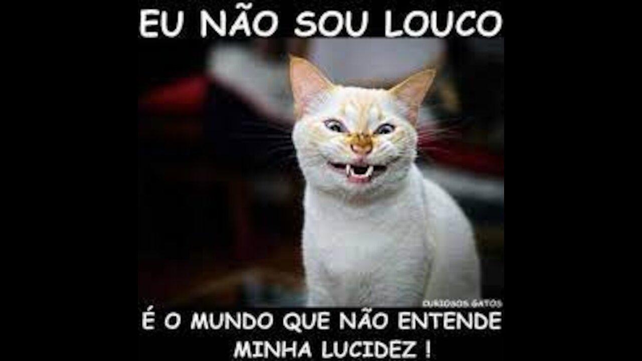 O Jabuti está na arvore alguém colocou ele lá, então trate de tirar.