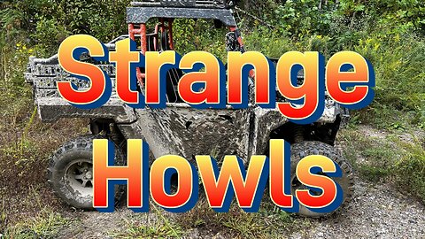 Strange Howls Recorded in Kentucky | What is it?