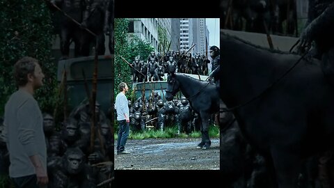 Ceasar has spoken #dawnoftheplanetoftheapes #ceasar #donotcomeback #manvsape