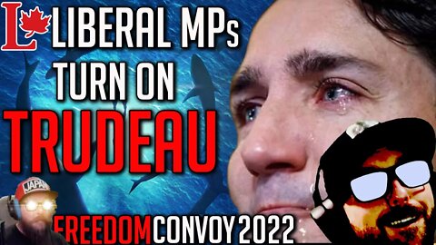Liberal MPs are Turning on Justin Trudeau - Freedom Convoy 2022