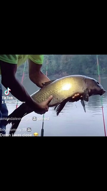 Fishing for big carp