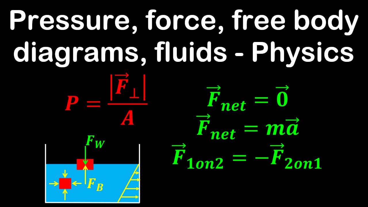 Pressure, forces, free body diagrams, fluids - Physics