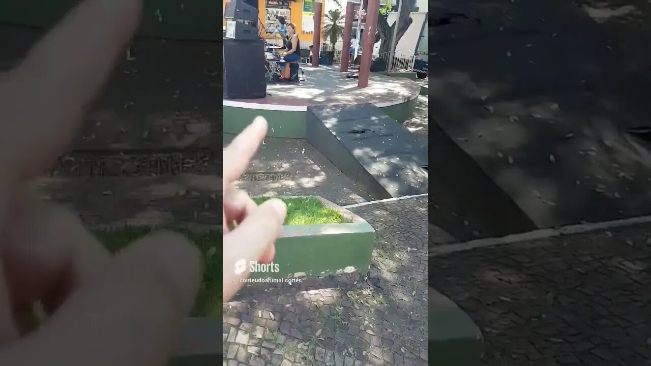 zeladoria zero em Valinhos SP... cidade abandonada completamente... nojento