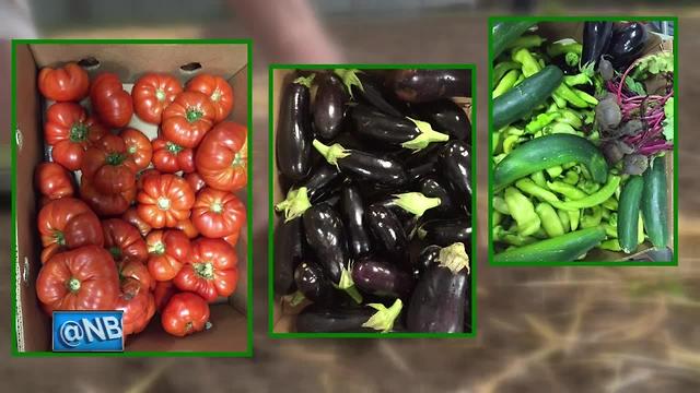 'Grow a Row for St. Joe's' helps feed the hungry in the Fox Cities