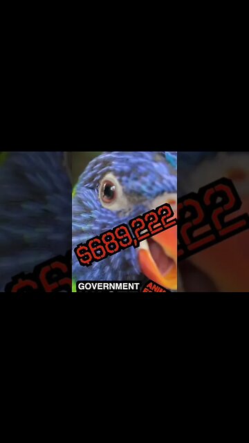 Beagle's on Cocaine? - Rand Paul's 2022 Festivus Report: Animal Edition