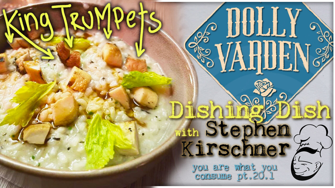 Dolly Varden, NYC : Dishing Dish | You Are What You Consume pt. 20.1