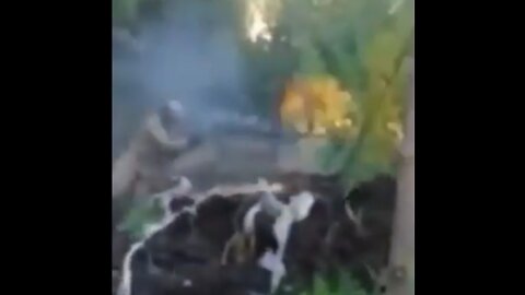 Battle of Russian troops against Ukrainian Nationalist military in Kharkiv