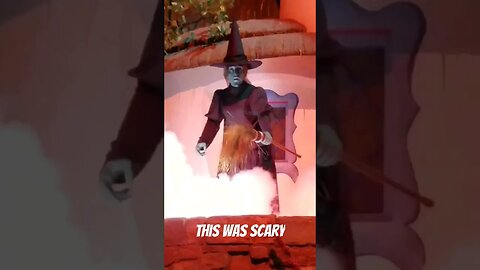 Animatronics In Disney Used To Hit Different.