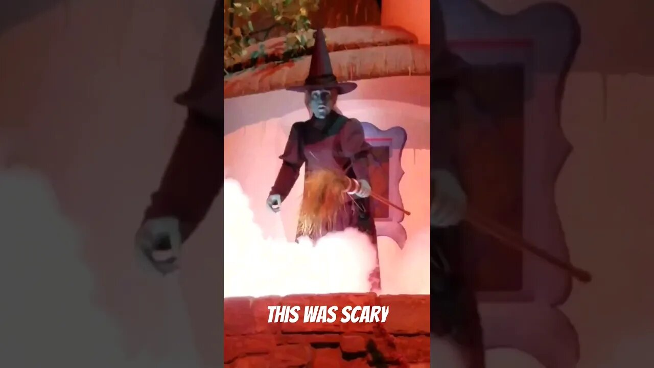 Animatronics In Disney Used To Hit Different.