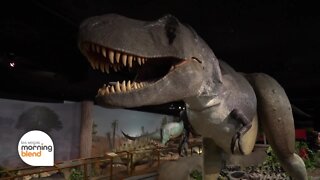 Museum Mondays: Las Vegas Natural History Museum