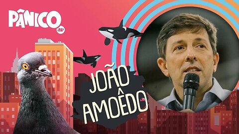 JOÃO AMOÊDO - PÂNICO - 19/05/21