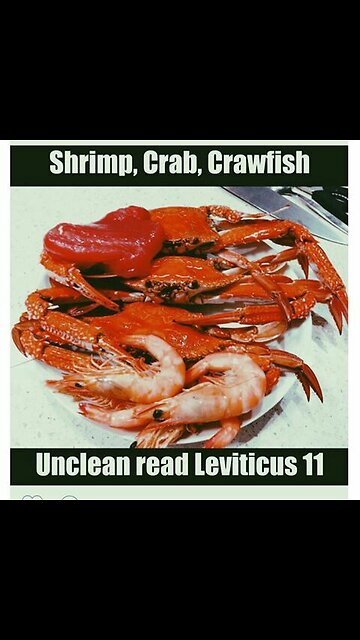 THE DIETARY LAW, FORBIDDEN FOODS IN THE BIBLE: SHRIMP, CRAB & CRAWFISH IS AN ABOMINATION UNTO YOU.🕎Leviticus 11:1-47 “These shall ye eat of all that are in the waters: whatsoever hath fins & scales in the waters, in the seas, in the rivers”