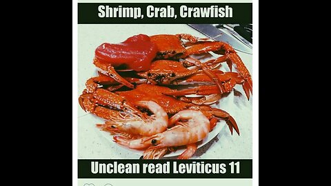 THE DIETARY LAW, FORBIDDEN FOODS IN THE BIBLE: SHRIMP, CRAB & CRAWFISH IS AN ABOMINATION UNTO YOU.🕎Leviticus 11:1-47 “These shall ye eat of all that are in the waters: whatsoever hath fins & scales in the waters, in the seas, in the rivers”