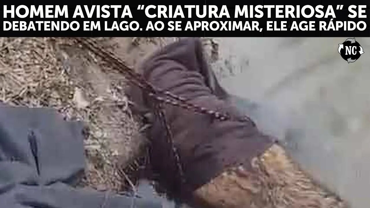 Homem avista “criatura misteriosa” se debatendo em lago. Ao se aproximar, ele age rápido