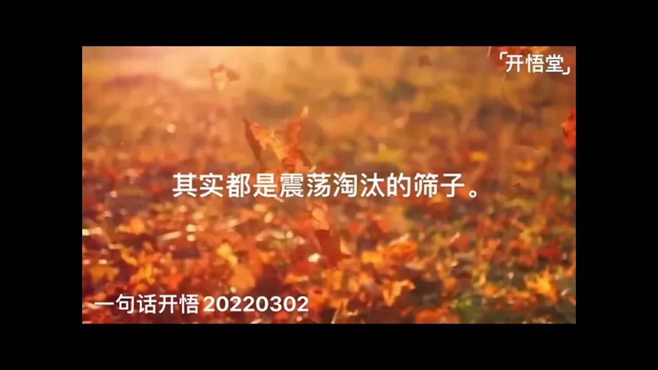 一句话开悟20220302