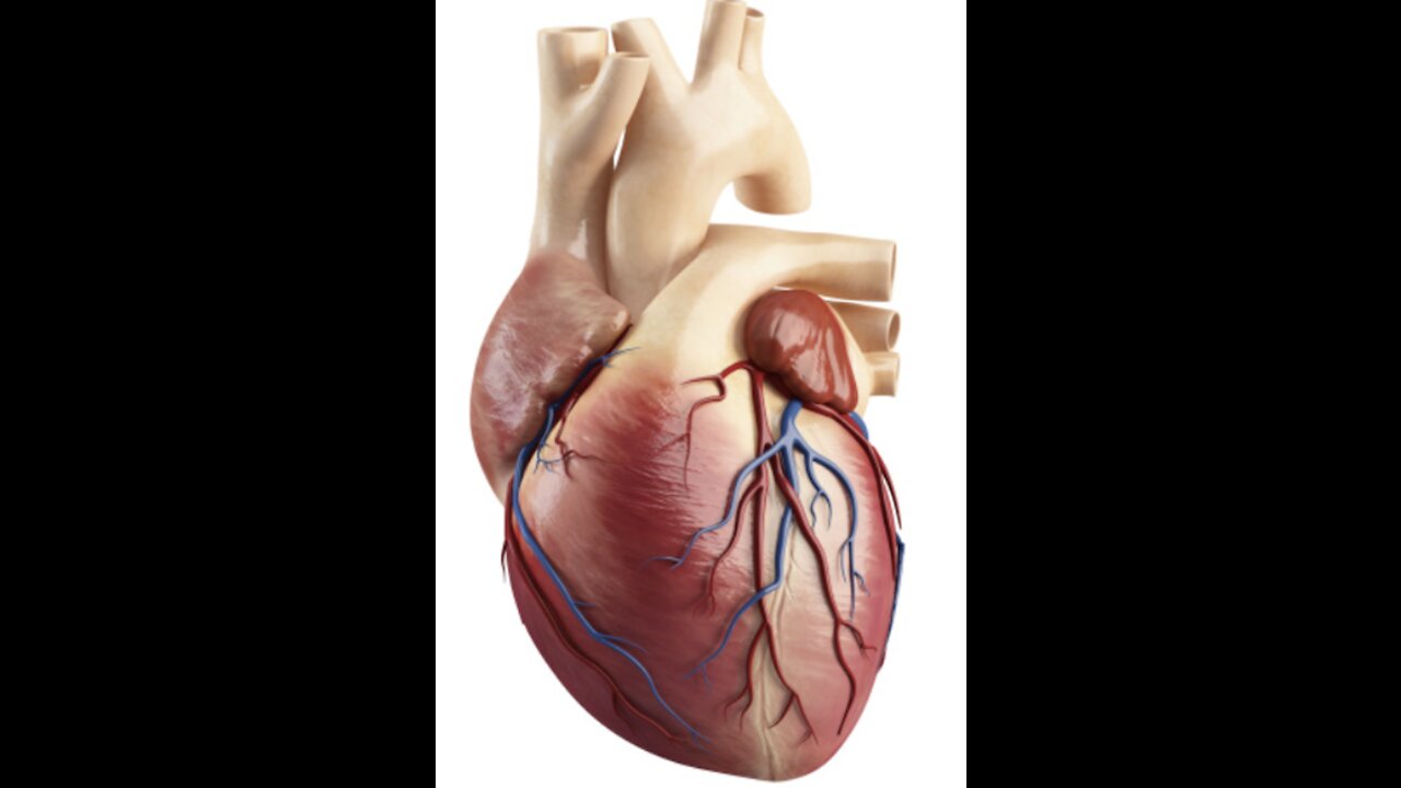 The inflammation of the heart muscle caused by SARS Cov 2 vaccine