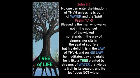 Tree of Life