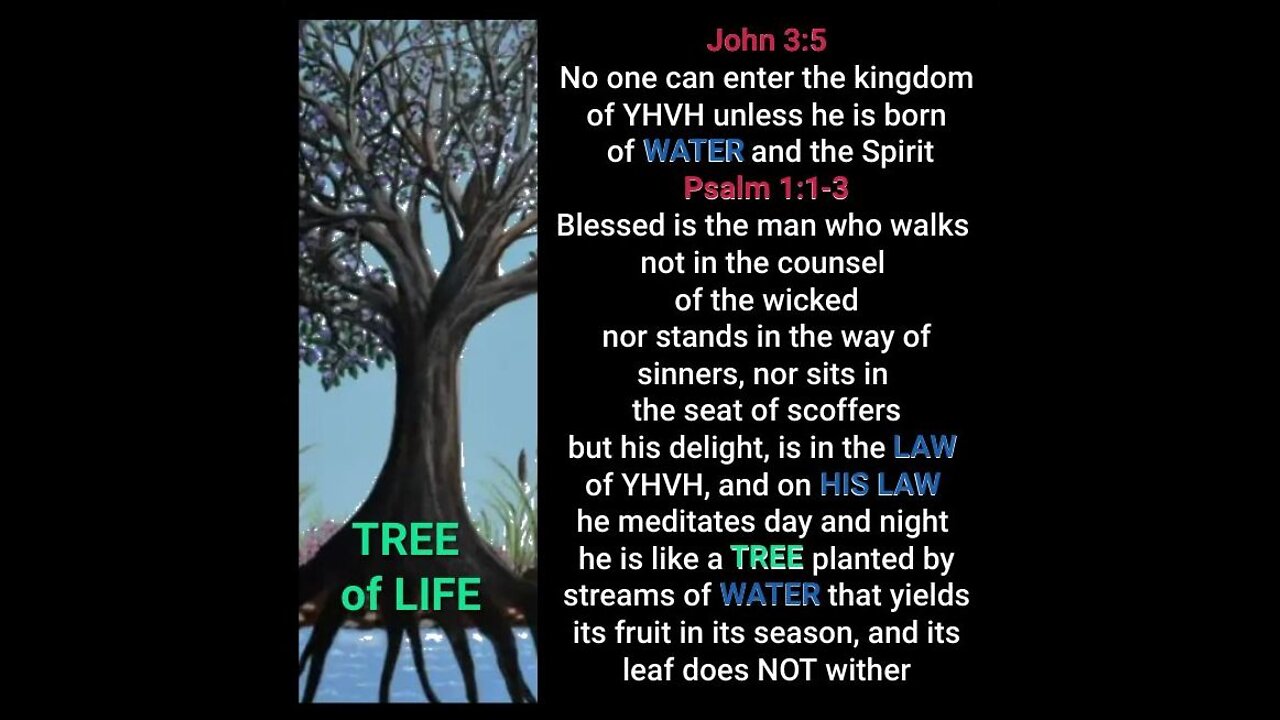 Tree of Life