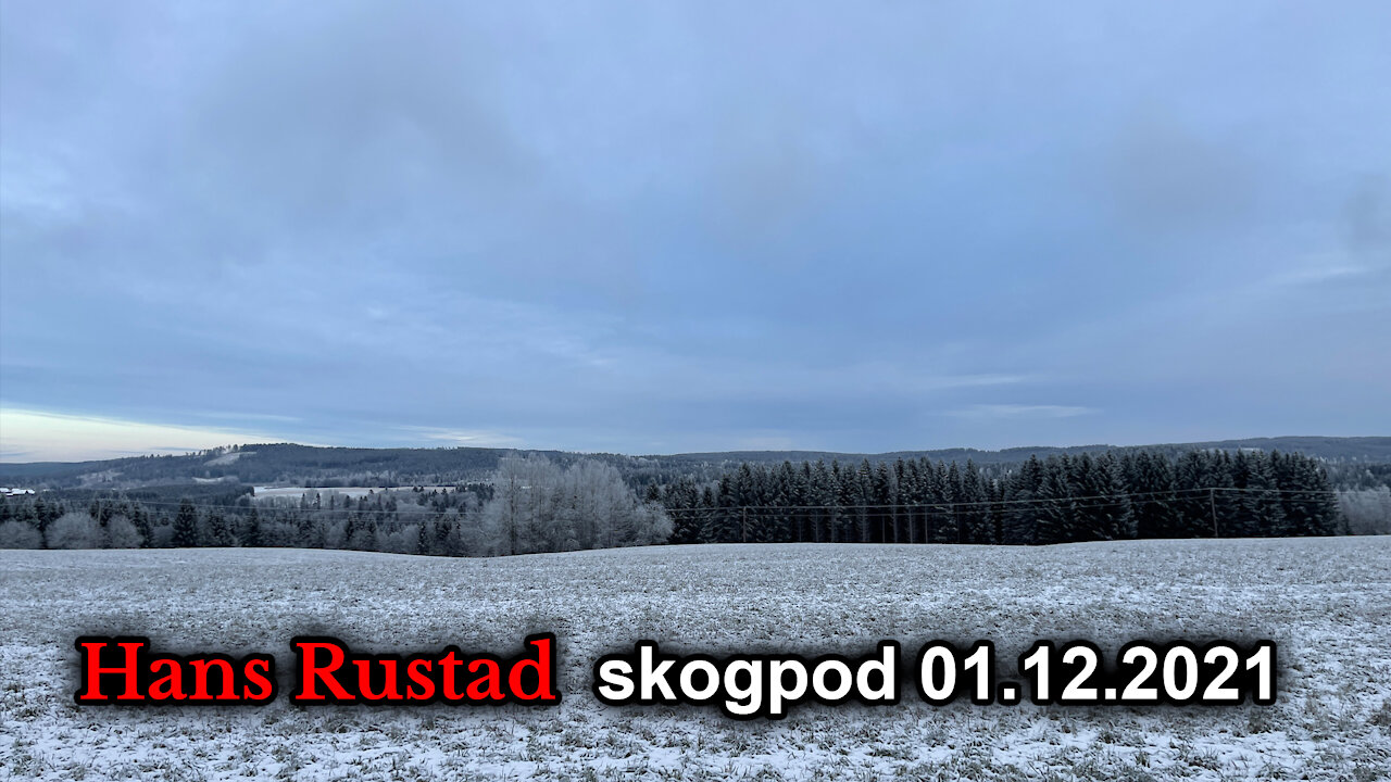 Skogpod 1. desember: De viktigste nyhetene rapporteres ikke