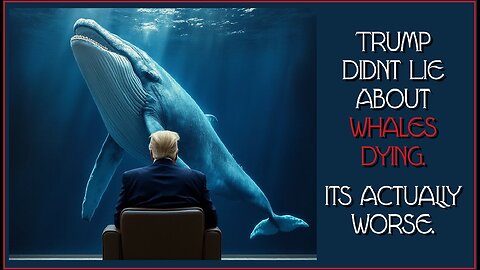 Trump didn't LIE in Rogan interview about the WHALES. It's actually WORSE.