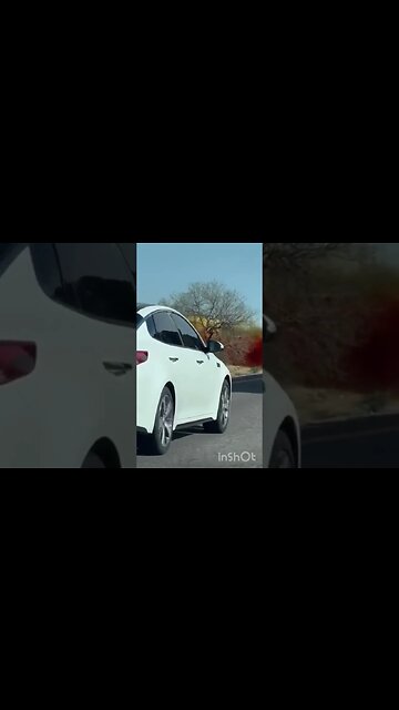 Tanker Truck Spills Nitric Acid & Catches Fire in AZ #tucson #shorts #toxic #shortsvideo