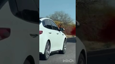 Tanker Truck Spills Nitric Acid & Catches Fire in AZ #tucson #shorts #toxic #shortsvideo