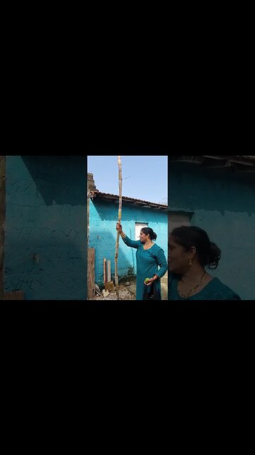Sugar Cane #bharatsamgi #sugarcane