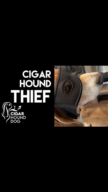 Cigar Hound Thief (Non-Short)