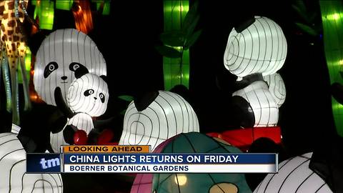 China Lights looking for volunteers