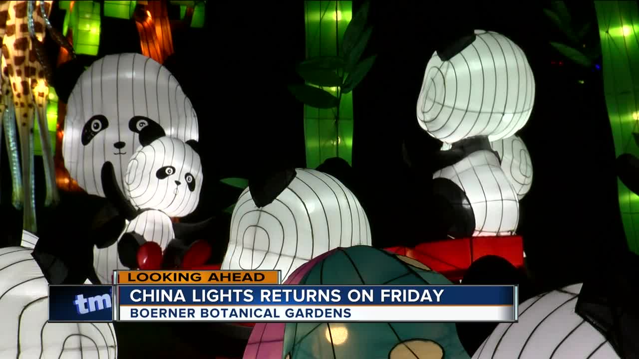 China Lights looking for volunteers