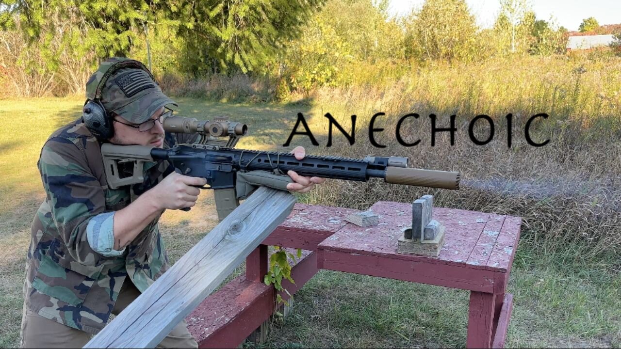 Anechoic Anechox 223 Suppressor First Shots/First Look