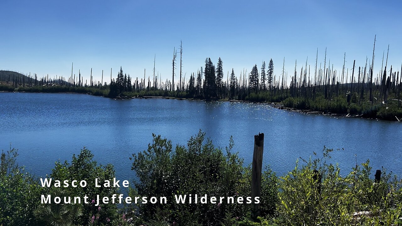 BITE SIZED WILDS | Trail Perspective of SPARKLING SAPPHIRE BRILLIANT BLUE Wasco Lake! | 4K | Oregon