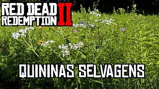 Localização Quininas Selvagens RDR2